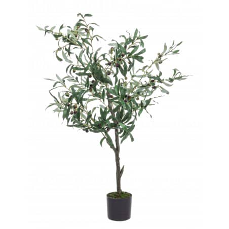 PIANTA ULIVO C-VASO 984 FOGLIE H156